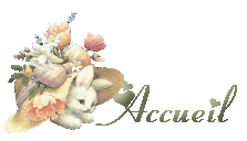Accueil